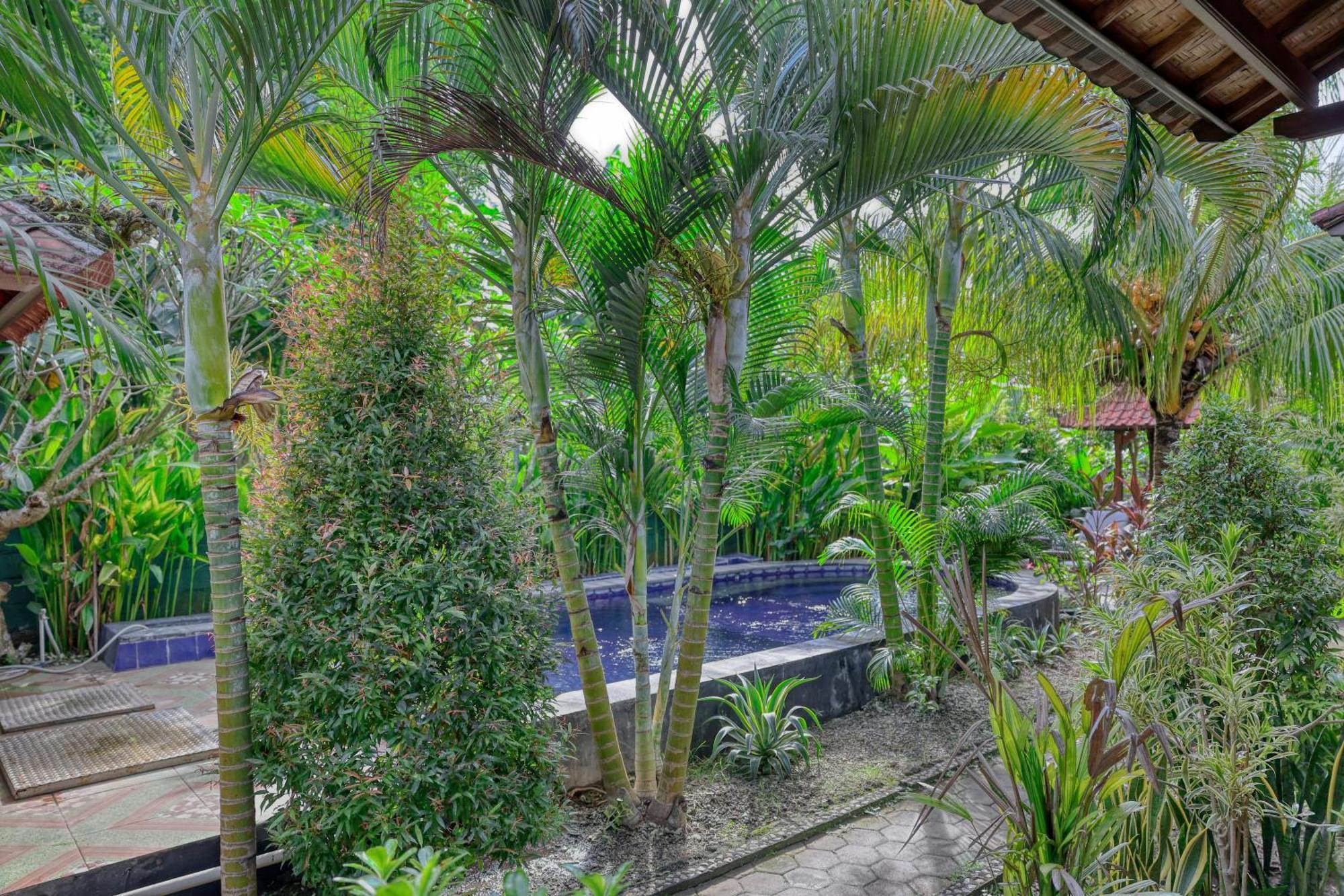 Asoka Bungalows Ped Zimmer foto